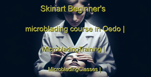 Skinart Beginner's microblading course in Oedo | MicrobladingTraining | MicrobladingClasses | SkinartTraining-Republic of Korea